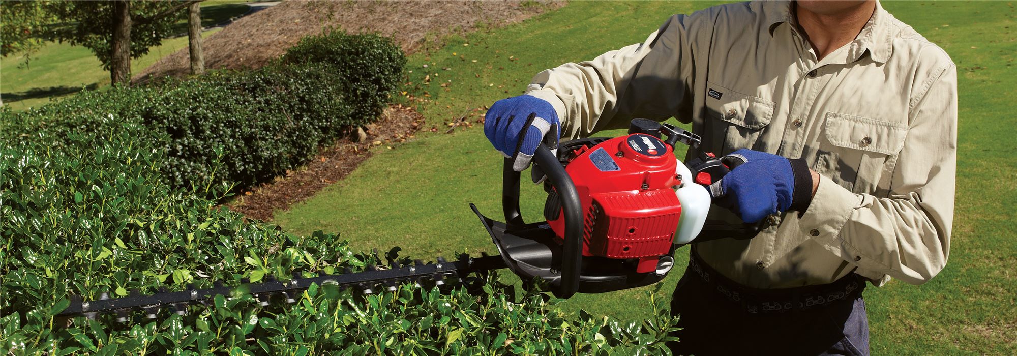 Home Category Page Hedge Trimmer