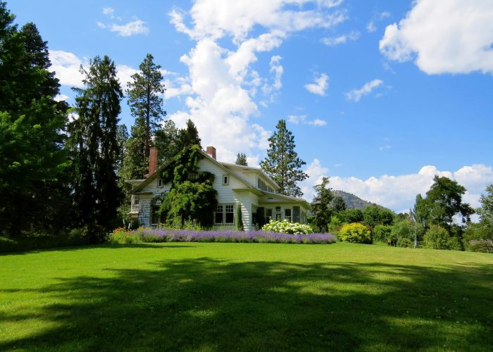 Idyllic countryside house surrounded by lavender and greenery under a bright blue sky.