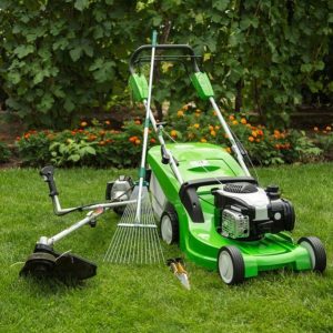 lawnmower2